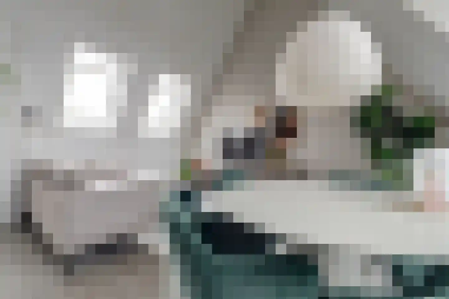 Nije Hof 1 Angeren thumbnail 16
