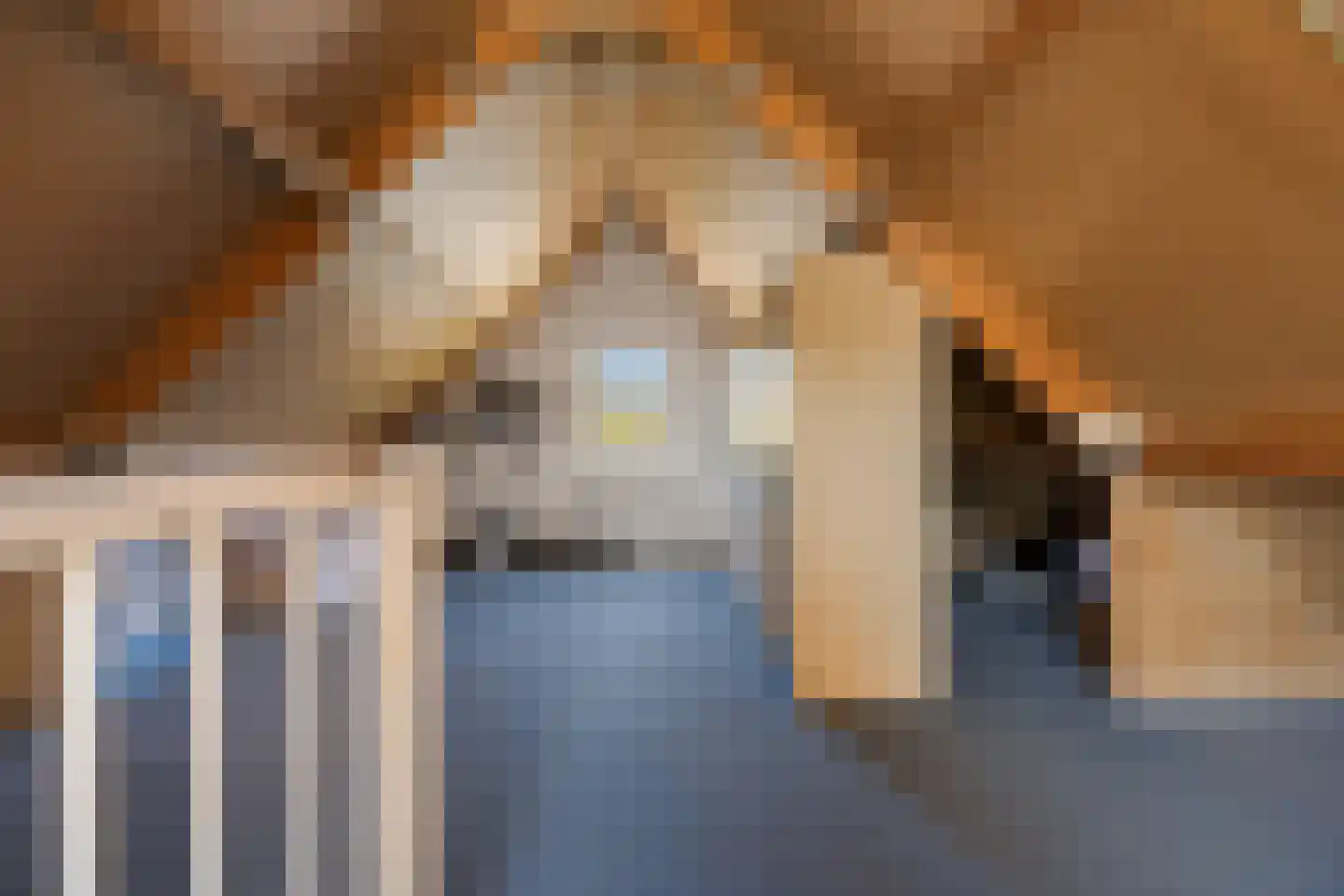 Nije Hof 1 Angeren thumbnail 17