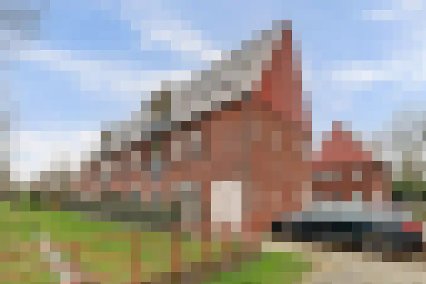 Nije Hof 1 Angeren thumbnail 27
