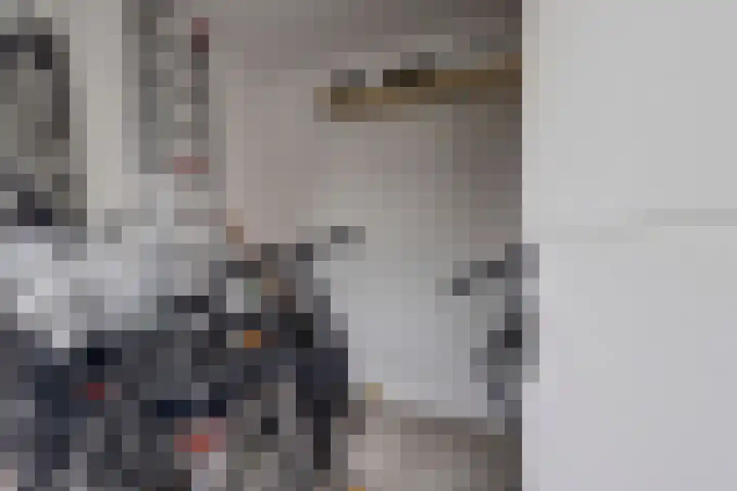 Nije Hof 1 Angeren thumbnail 30