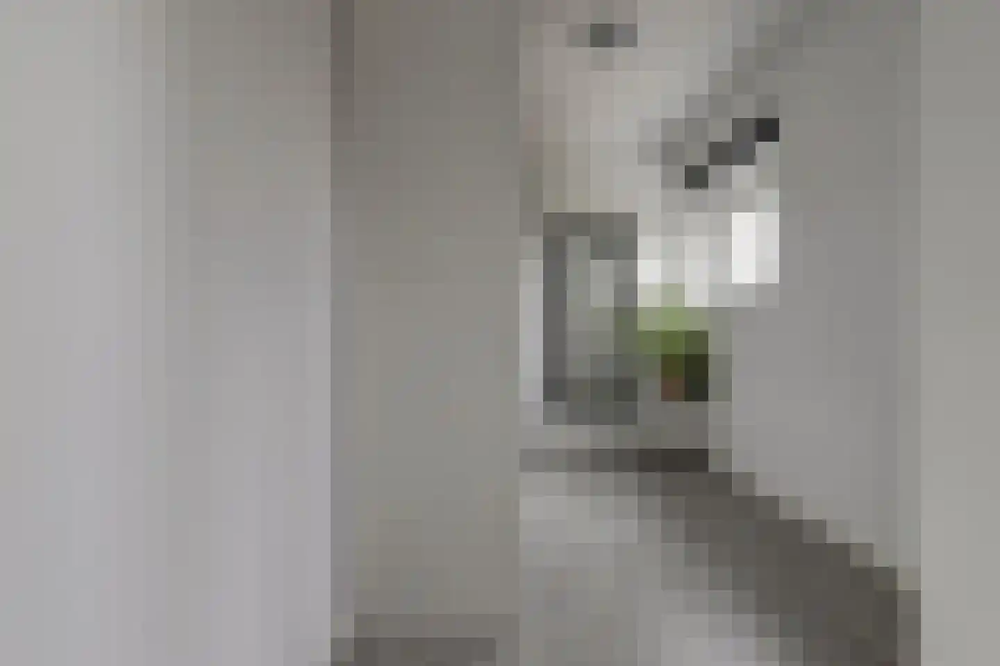 Nije Hof 1 Angeren thumbnail 7