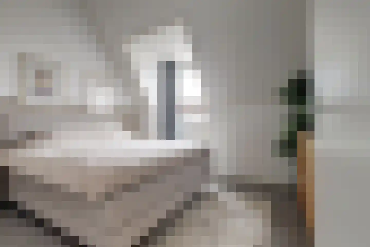 Nije Hof 1 Angeren thumbnail 9