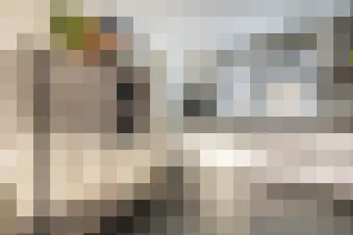 Nijenburg 79 Hoofddorp thumbnail 16