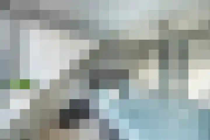 Nijenburg 79 Hoofddorp thumbnail 31