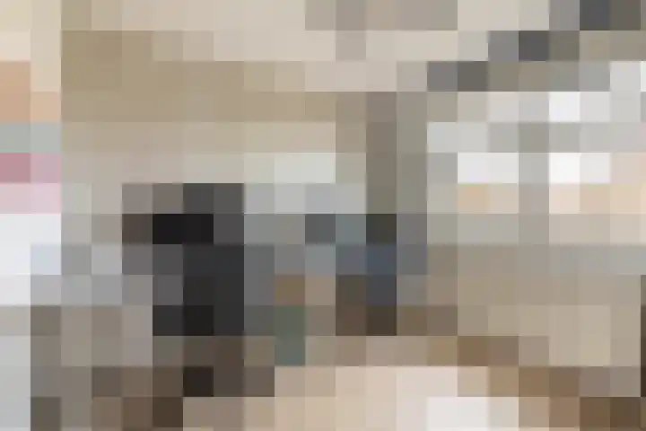 Nijenburg 79 Hoofddorp thumbnail 33