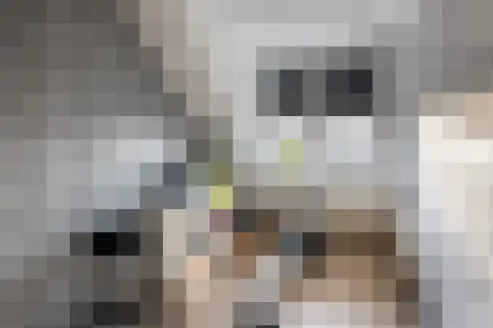 Nijenburg 79 Hoofddorp thumbnail 38