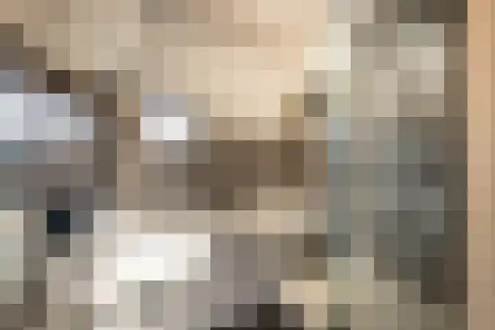 Nijenburg 79 Hoofddorp thumbnail 39