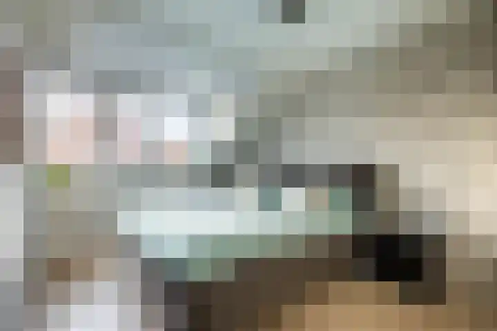 Nijenburg 79 Hoofddorp thumbnail 4