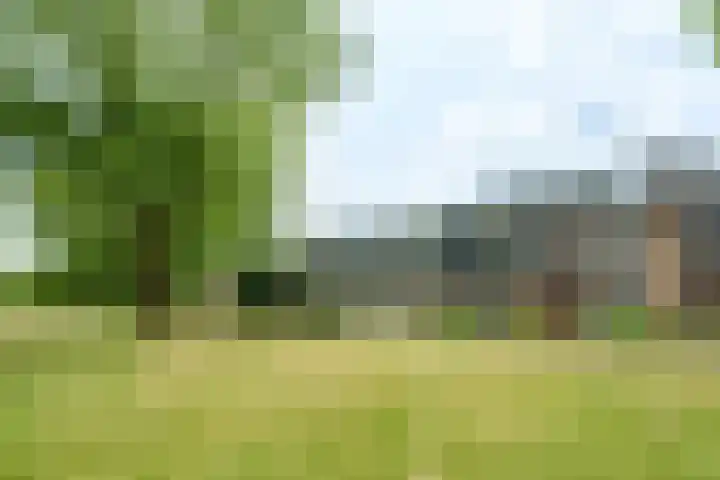 Nijenheim 6035 en Zeist