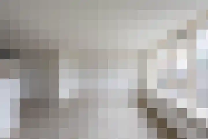 Nijensteinheerd 113 Groningen thumbnail 13