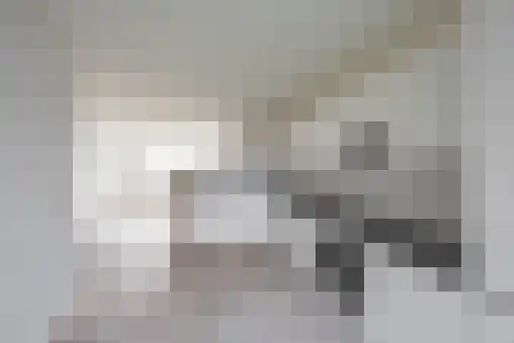 Nijensteinheerd 113 Groningen thumbnail 16