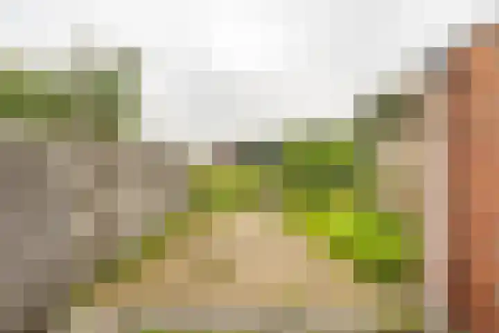 Nijensteinheerd 113 Groningen thumbnail 5