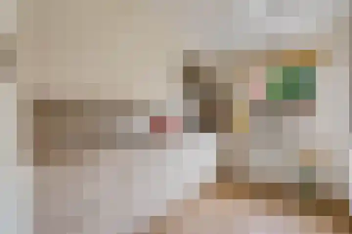 Nijensteinheerd 245 Groningen thumbnail 17