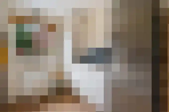 Nijensteinheerd 245 Groningen thumbnail 18