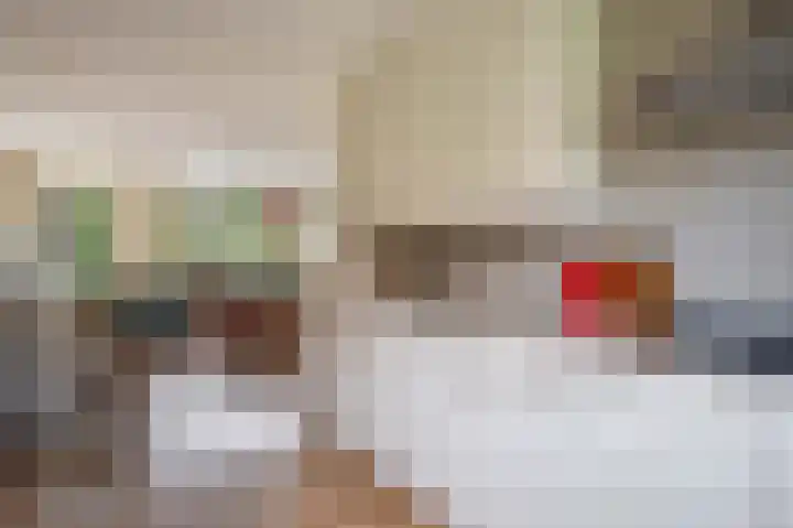 Nijensteinheerd 245 Groningen thumbnail 19