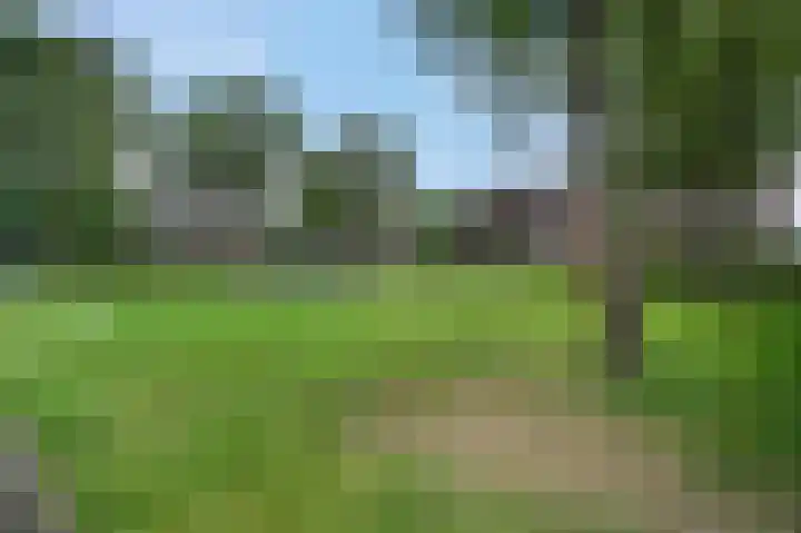 Nijensteinheerd 245 Groningen thumbnail 37