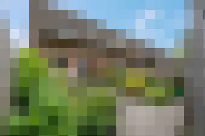 Nijensteinheerd 245 Groningen thumbnail 6
