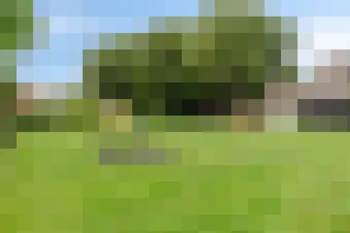 Nijensteinheerd 44 Groningen thumbnail 31
