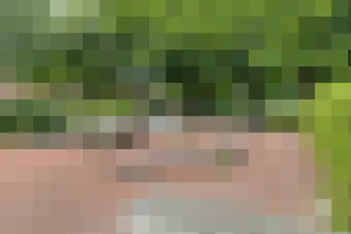 Nijensteinheerd 44 Groningen thumbnail 32