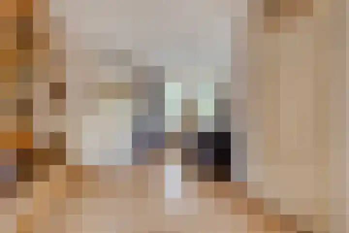 Nijensteinheerd 44 Groningen thumbnail 9