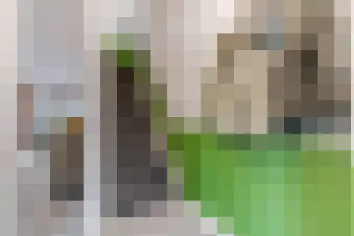 Nijeveld 37 Ede thumbnail 15