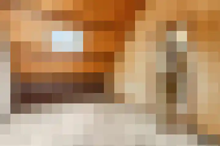 Nijeveld 37 Ede thumbnail 30
