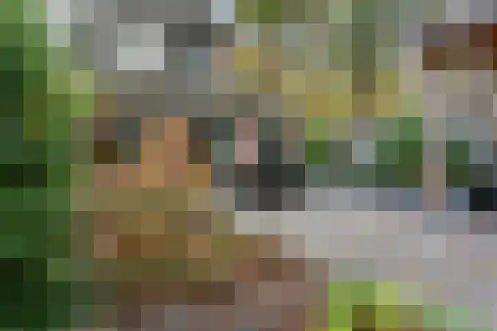 Nijeveld 37 Ede thumbnail 34