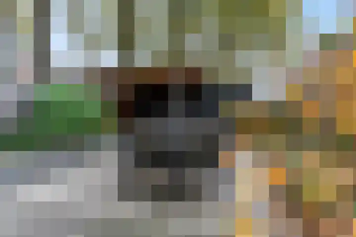 Nijeveld 37 Ede thumbnail 35