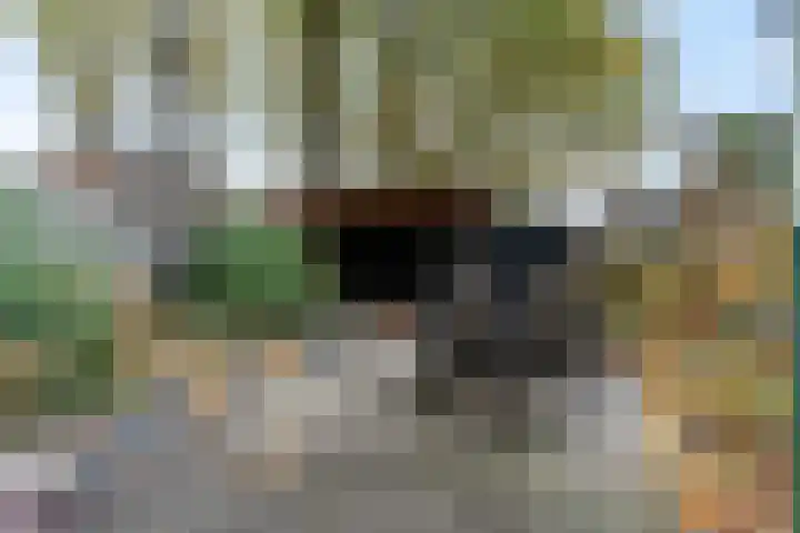 Nijeveld 37 Ede thumbnail 37
