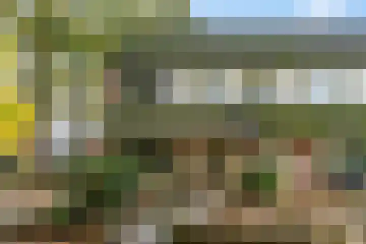 Nijeveld 37 Ede thumbnail 40