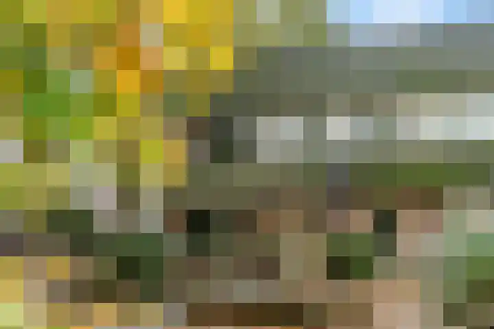 Nijeveld 37 Ede thumbnail 42