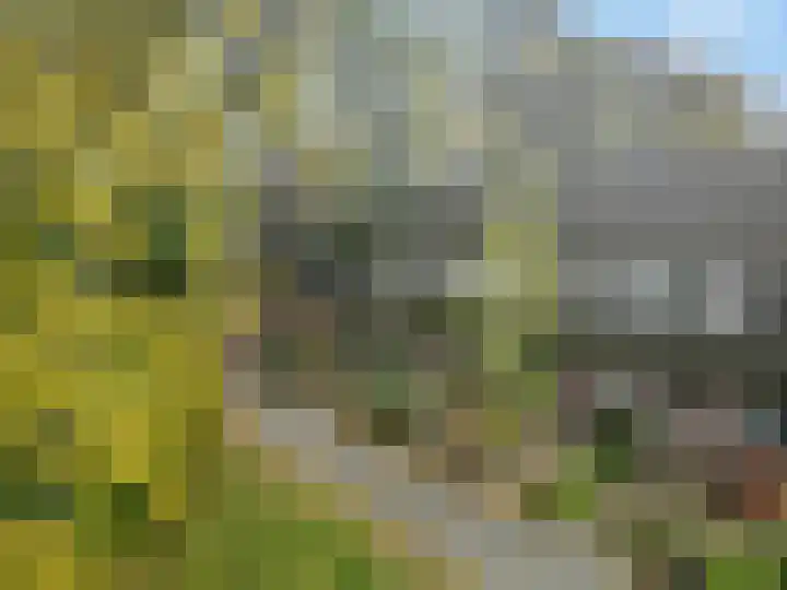 Nijeveld 37 Ede thumbnail 46