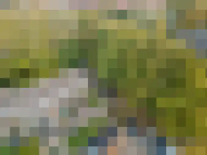 Nijeveld 37 Ede thumbnail 48