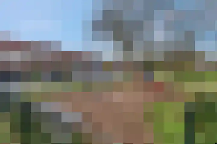 Nijeveld 37 Ede thumbnail 50