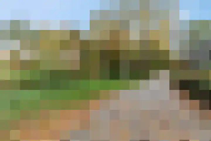 Nijeveld 37 Ede thumbnail 53