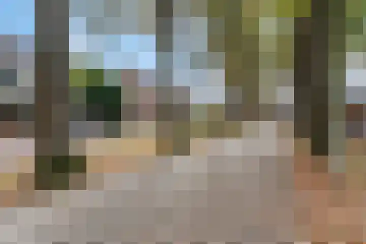 Nijeveld 37 Ede thumbnail 54