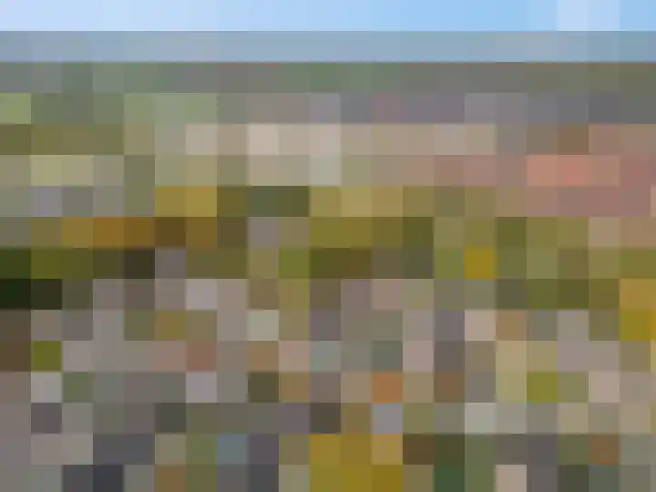 Nijeveld 37 Ede thumbnail 60