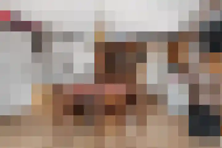 Nijewei 15 Driezum thumbnail 30