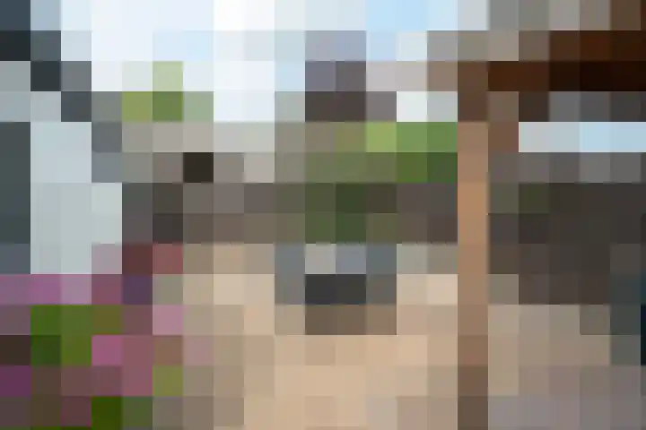 Nijewei 15 Driezum thumbnail 4