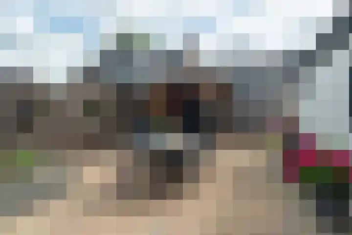Nijewei 15 Driezum thumbnail 40