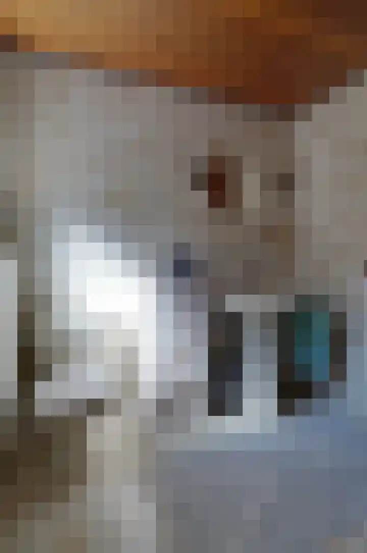 Nijewei 67 Harkema thumbnail 17