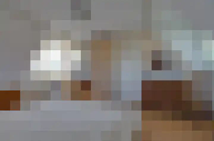 Nijewei 67 Harkema thumbnail 25
