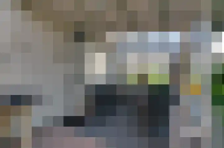 Nijewei 67 Harkema thumbnail 27