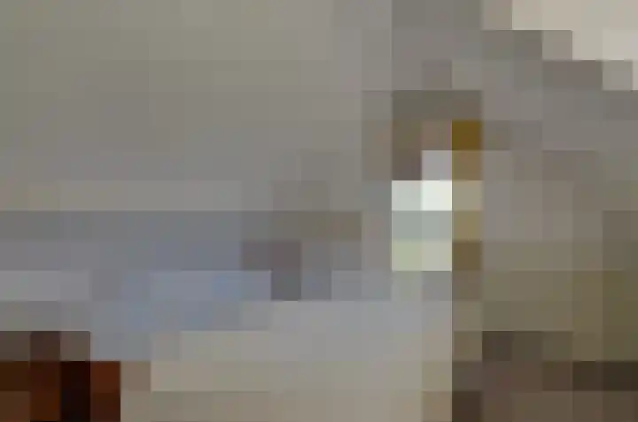 Nijewei 67 Harkema thumbnail 30