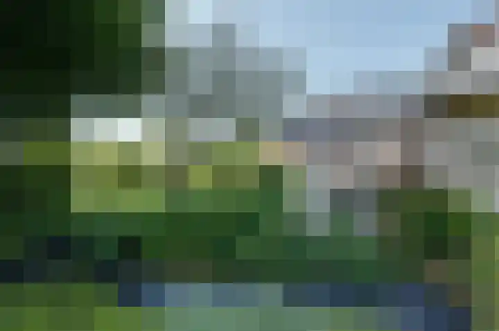 Nijewei 67 Harkema thumbnail 45