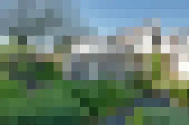 Nijewei 67 Harkema thumbnail 48