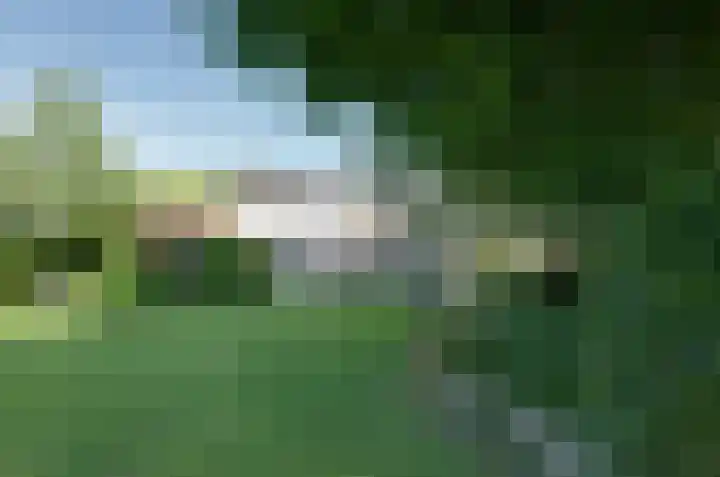 Nijewei 67 Harkema thumbnail 52