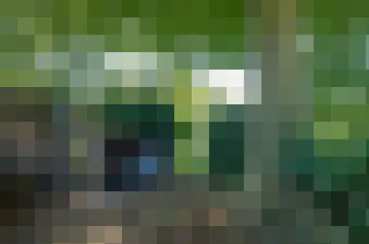 Nijewei 67 Harkema thumbnail 53