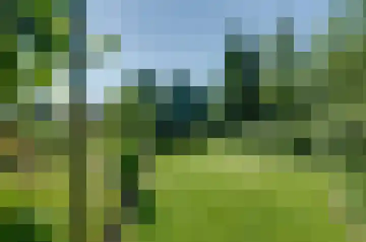 Nijewei 67 Harkema thumbnail 54