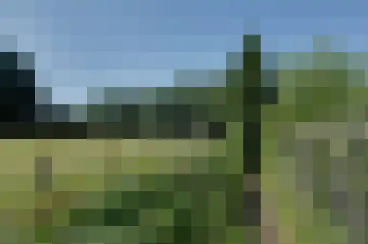 Nijewei 67 Harkema thumbnail 55